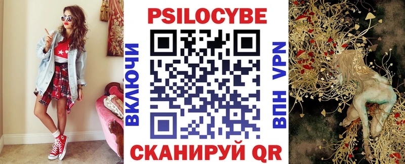 Псилоцибиновые грибы Psilocybe  Владикавказ 