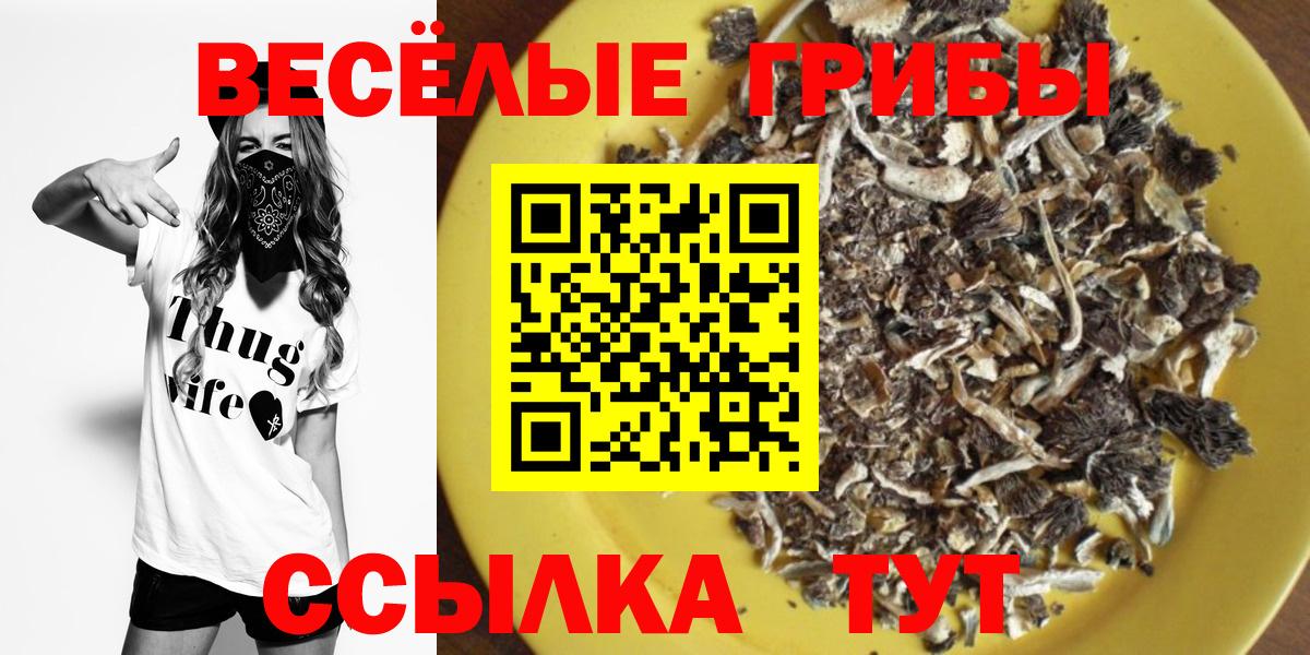 Галлюциногенные грибы Psilocybine cubensis  Вход с VPN  Владикавказ 