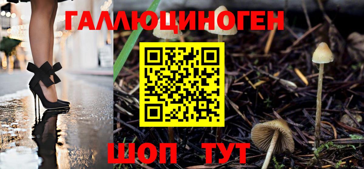 Галлюциногенные грибы Magic Shrooms Владикавказ